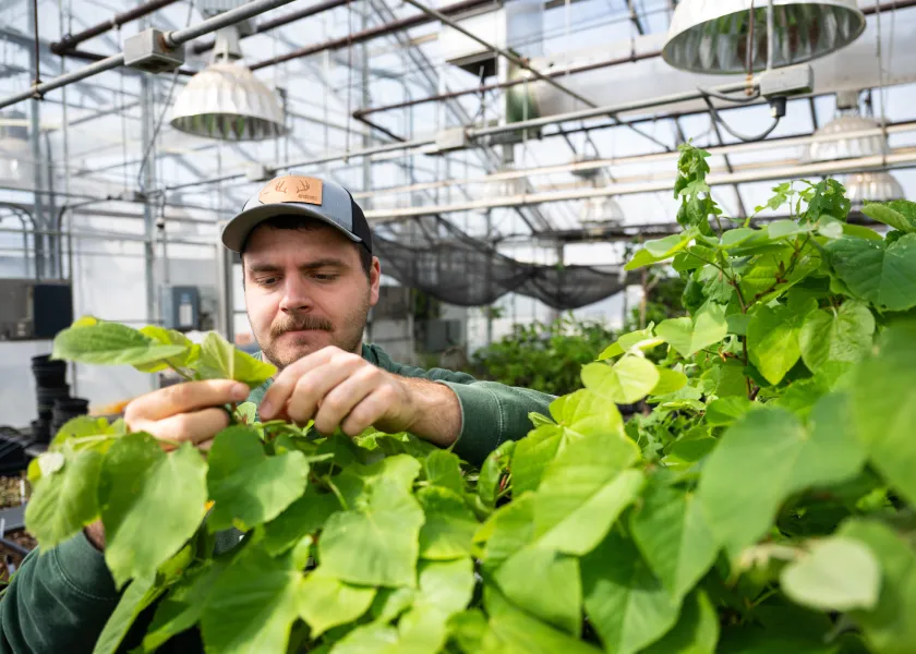 programs-by-categories-north-dakota-state-university